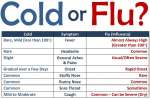 Cold or Flu chart